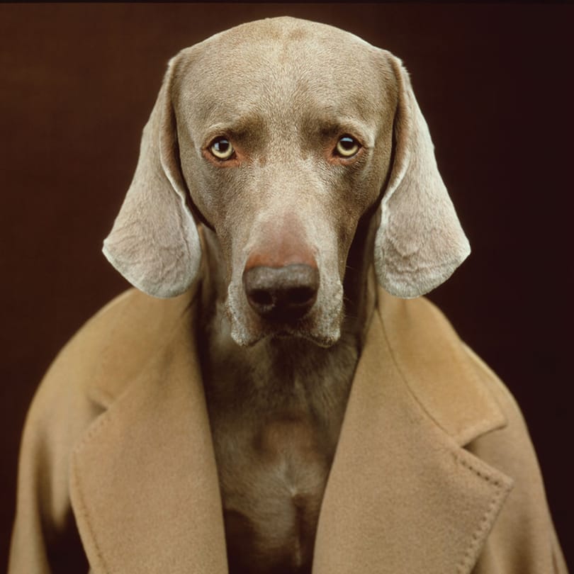 Img Gallery 405x405 01 Max Mara